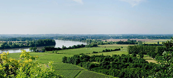 Château Vrai Canon Bouché